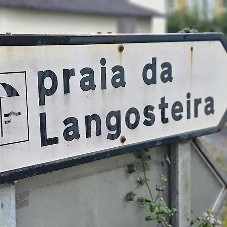 A Estrenar Mar De Cunchas * San Martín de Arriba