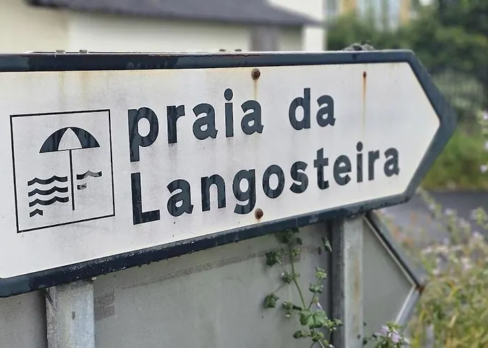 A Estrenar Mar De Cunchas * San Martín de Arriba